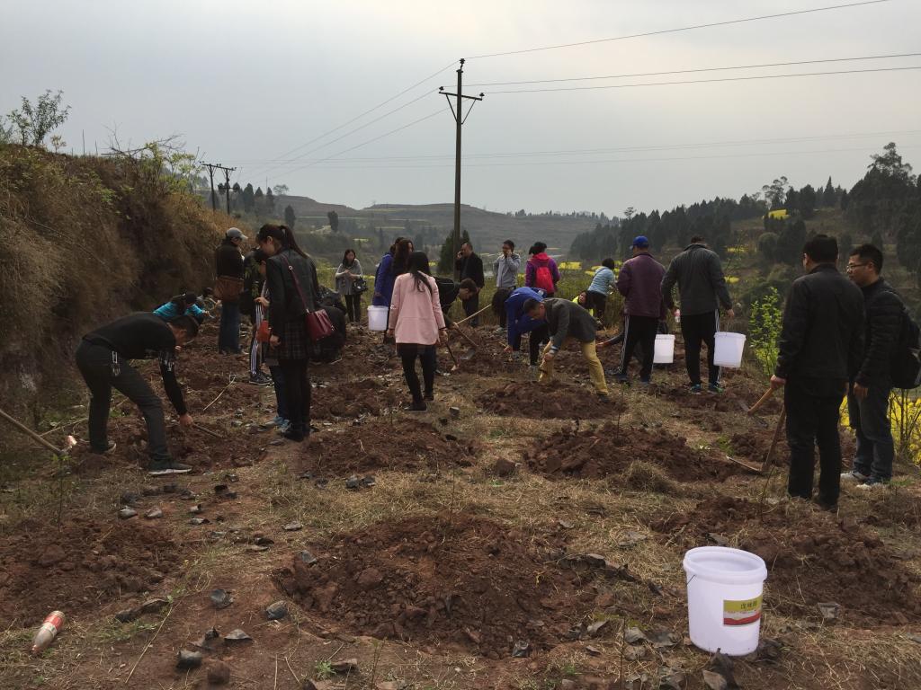 太阳成集团tyc122ccvip