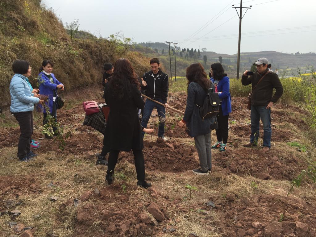 太阳成集团tyc122ccvip