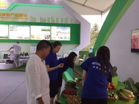 太阳成集团tyc122ccvip